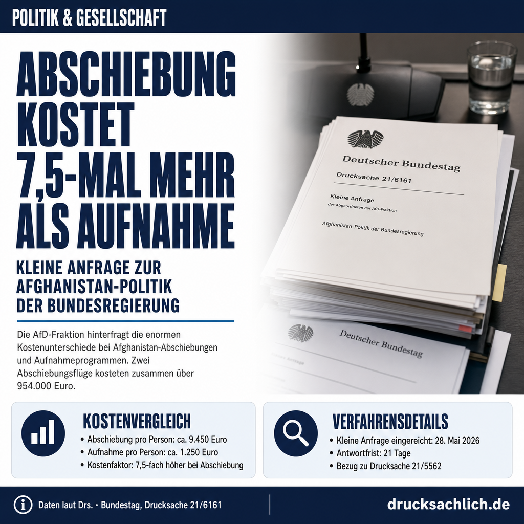 Infografik BT-Drs. 21/6161