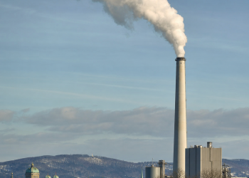 AfD will EU-Emissionshandel komplett stoppen