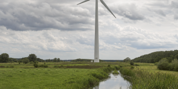 AfD alarmiert: Windräder verbreiten Ewigkeitschemikalien