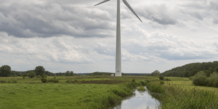 AfD alarmiert: Windräder verbreiten Ewigkeitschemikalien