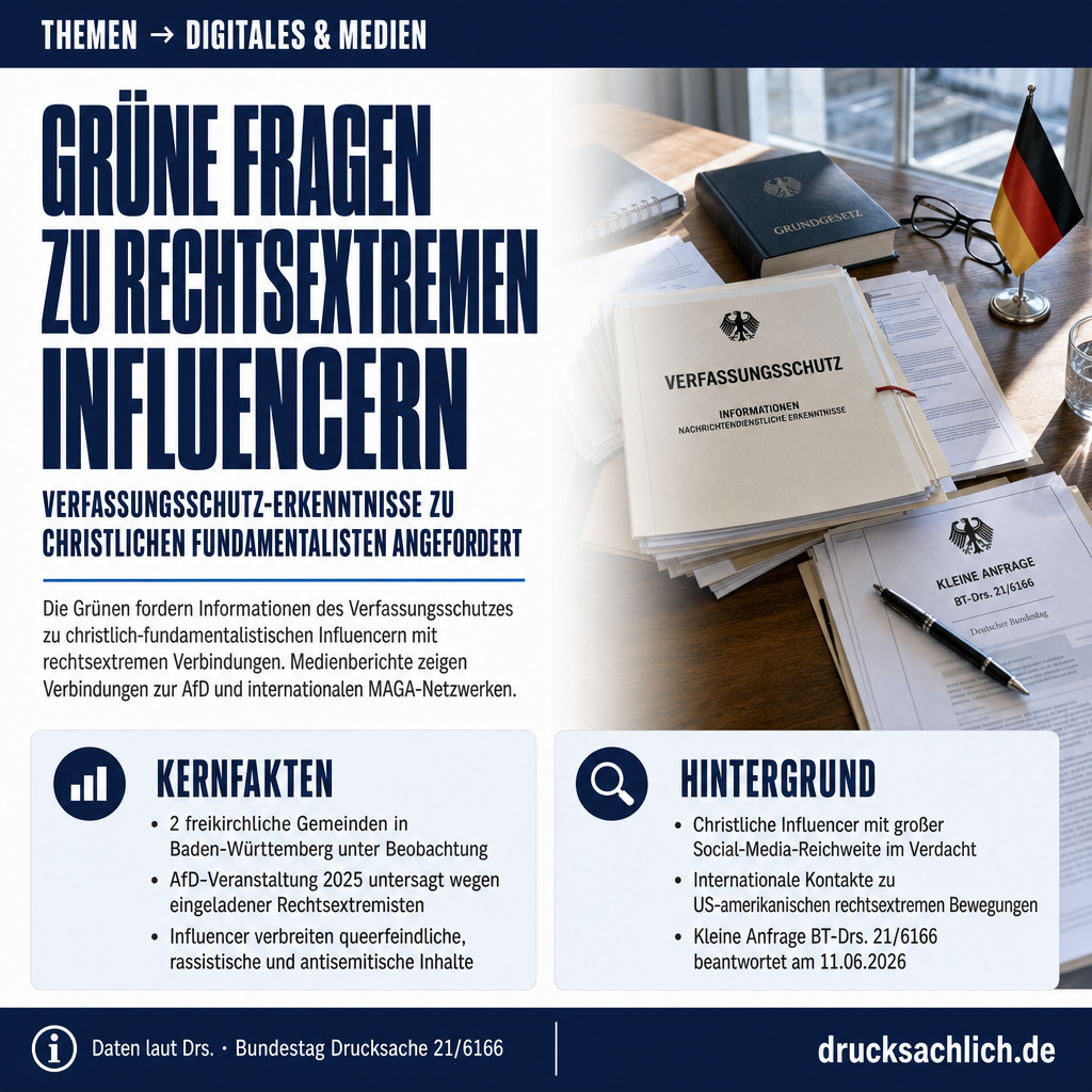 Infografik BT-Drs. 21/6166