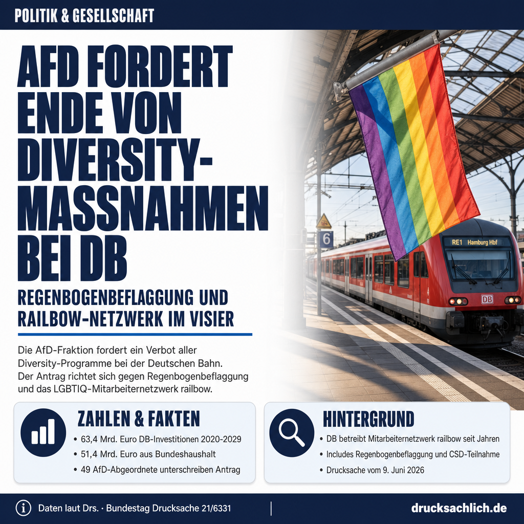 Infografik BT-Drs. 21/6331