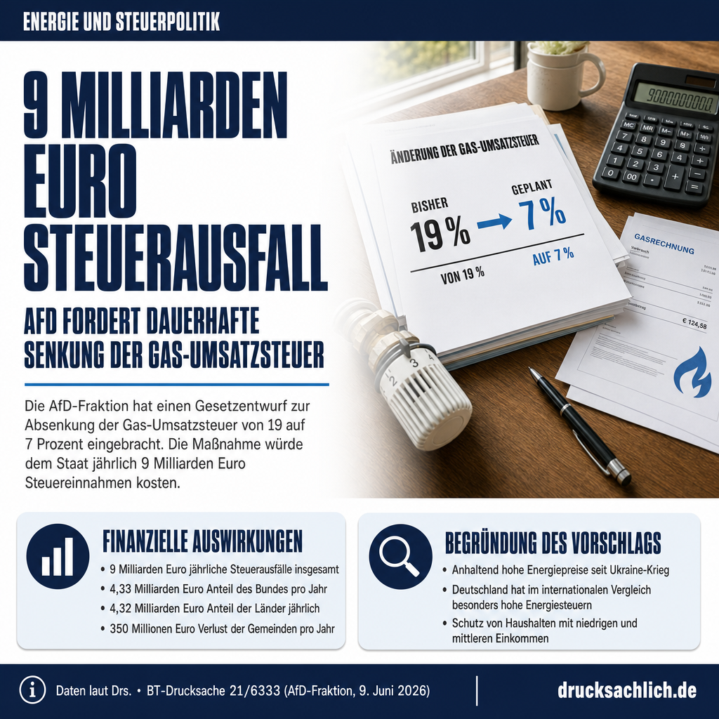 Infografik BT-Drs. 21/6333