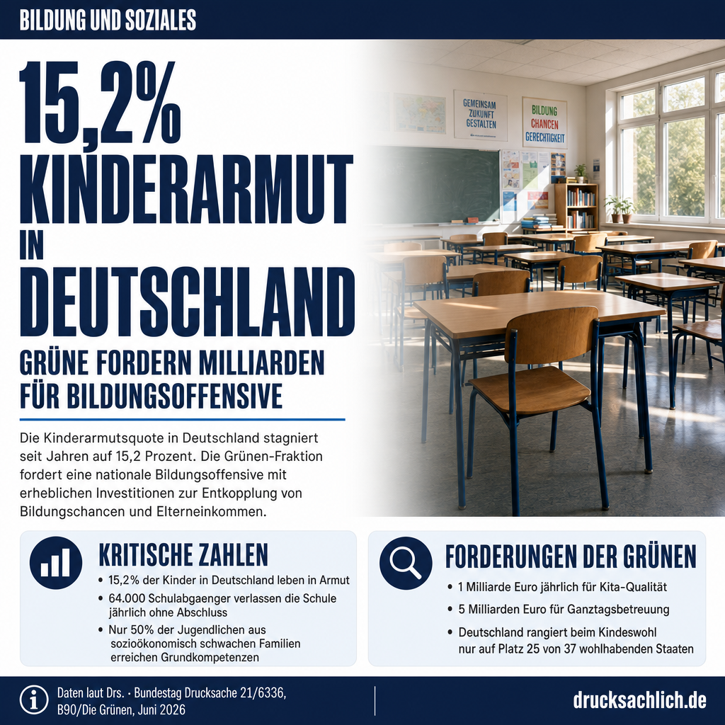 Infografik BT-Drs. 21/6336