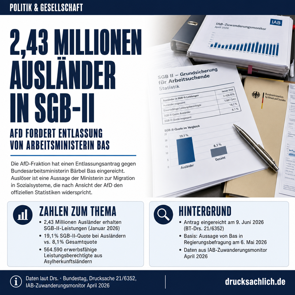 Infografik BT-Drs. 21/6352