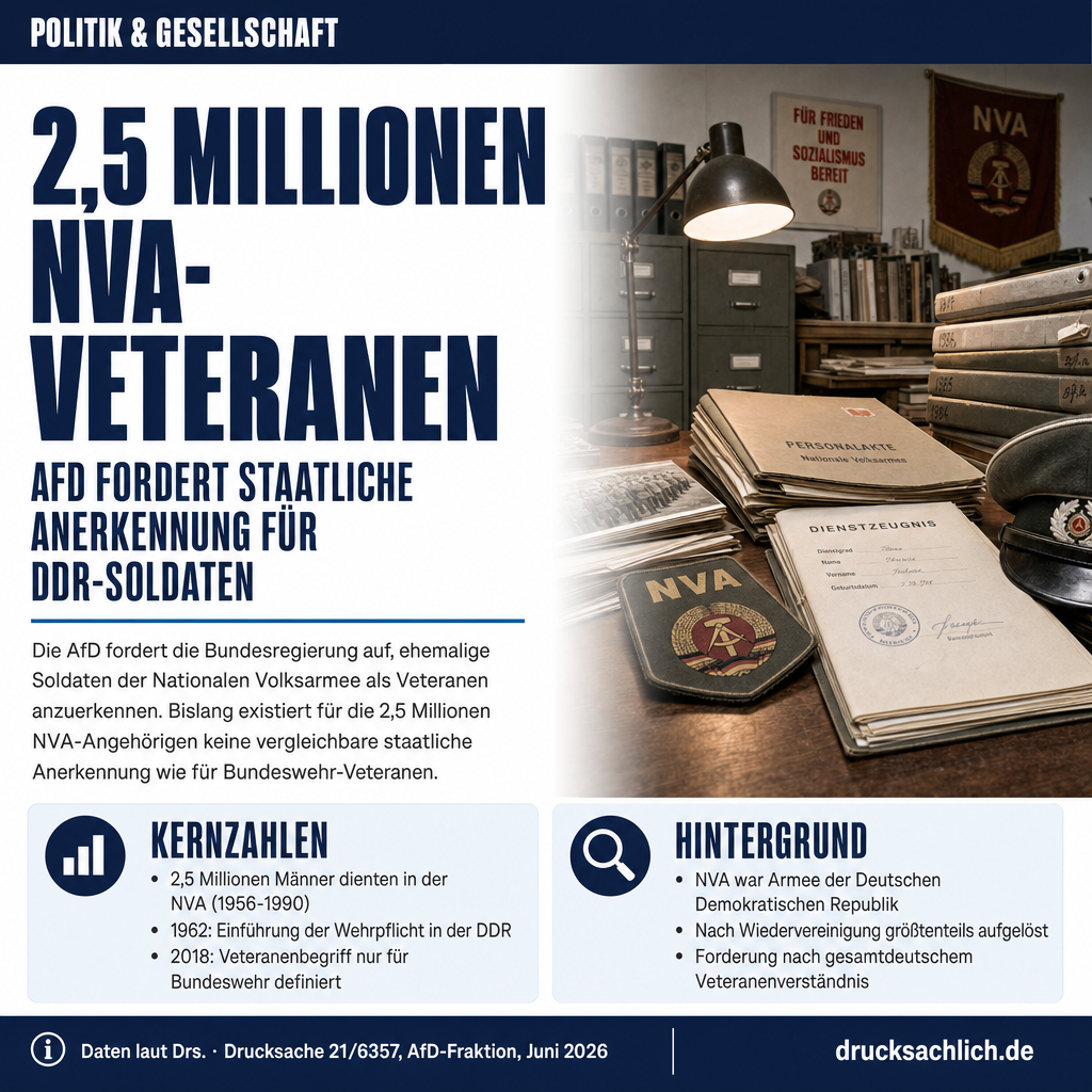 Infografik BT-Drs. 21/6357