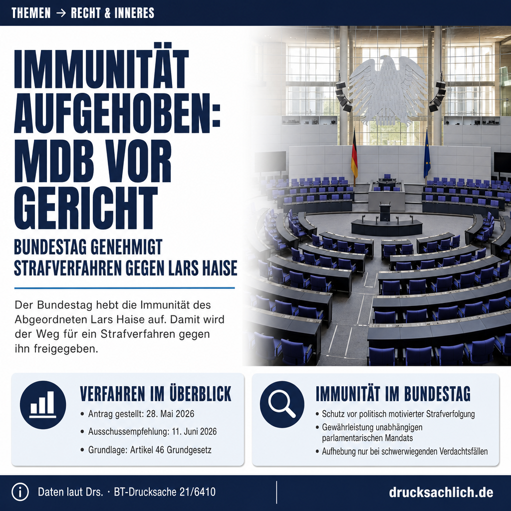 Infografik BT-Drs. 21/6410