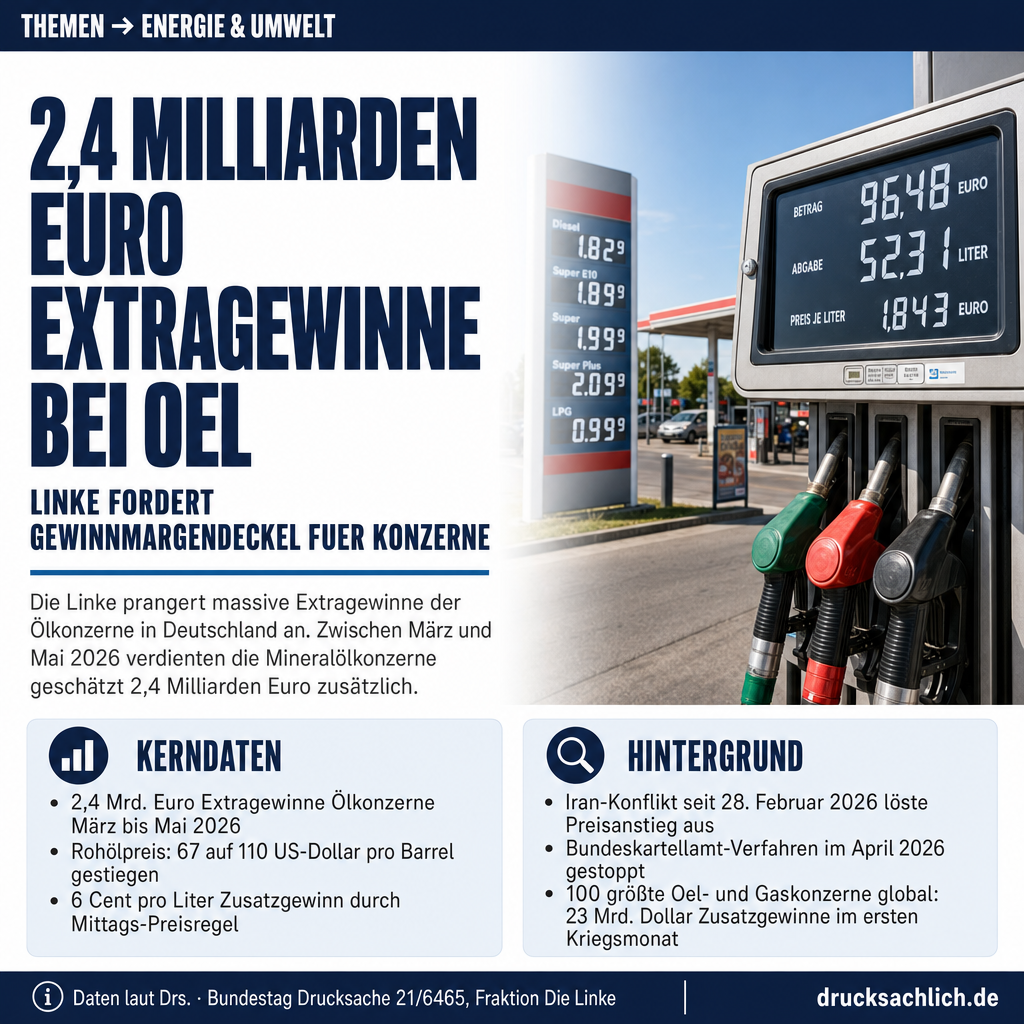 Benzin & Diesel: Linke fordert Gewinnmargendeckel für Ölkonzerne
