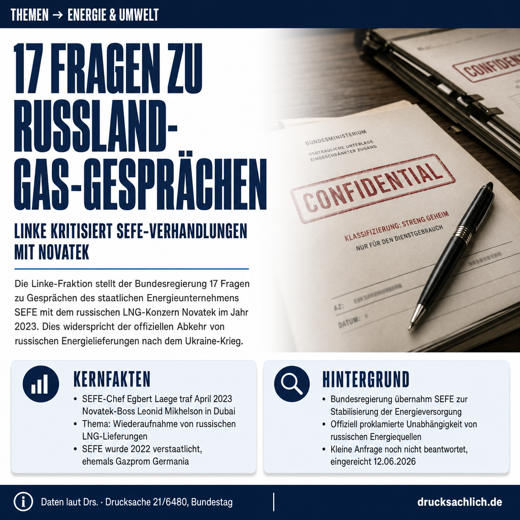 SEFE-Gespräche: Linke fragt Russland-LNG nach