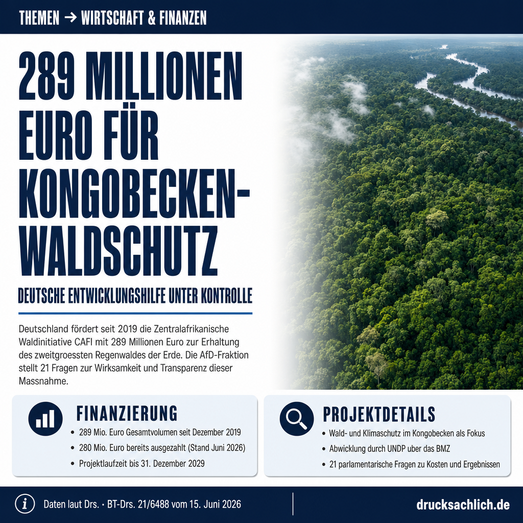 CAFI-Waldinitiative: 289 Mio. Euro für Kongobecken unter Kontrolle