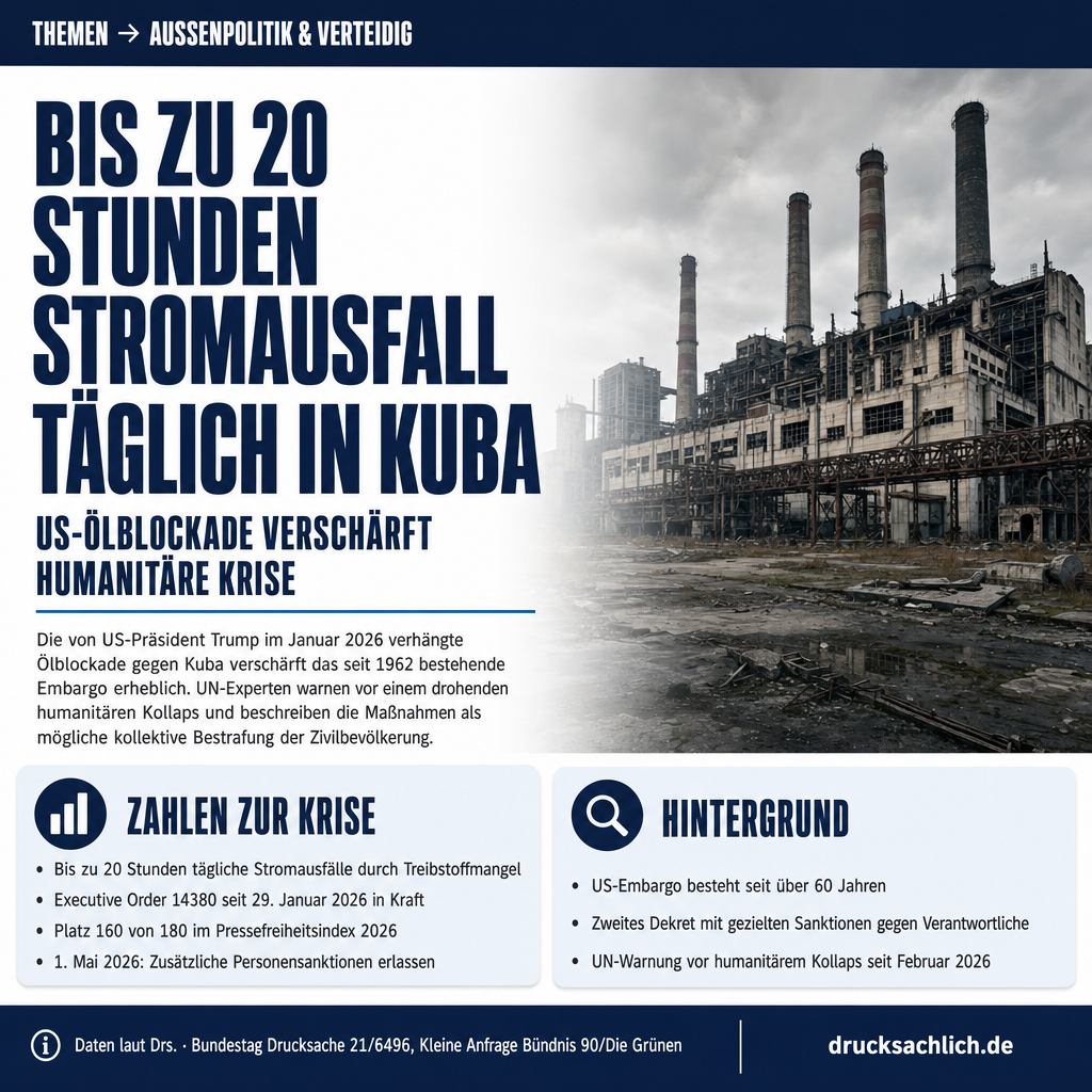 Infografik BT-Drs. 21/6496