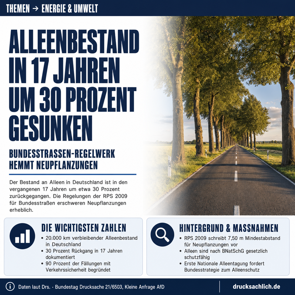 Alleen an Bundesstraßen: 30 Prozent Rückgang in 17 Jahren