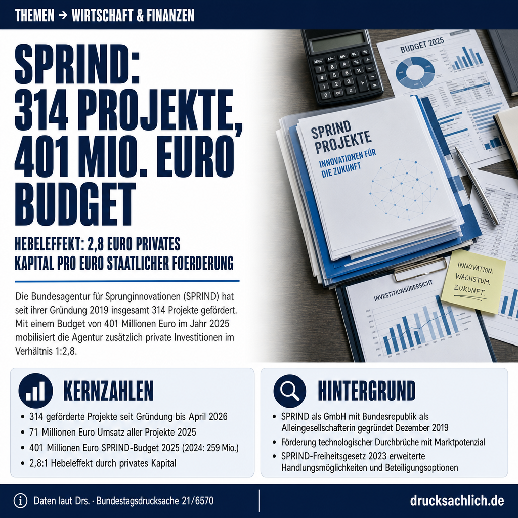 Infografik BT-Drs. 21/6570