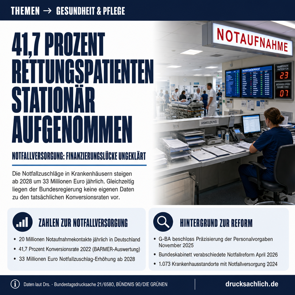 Infografik BT-Drs. 21/6580