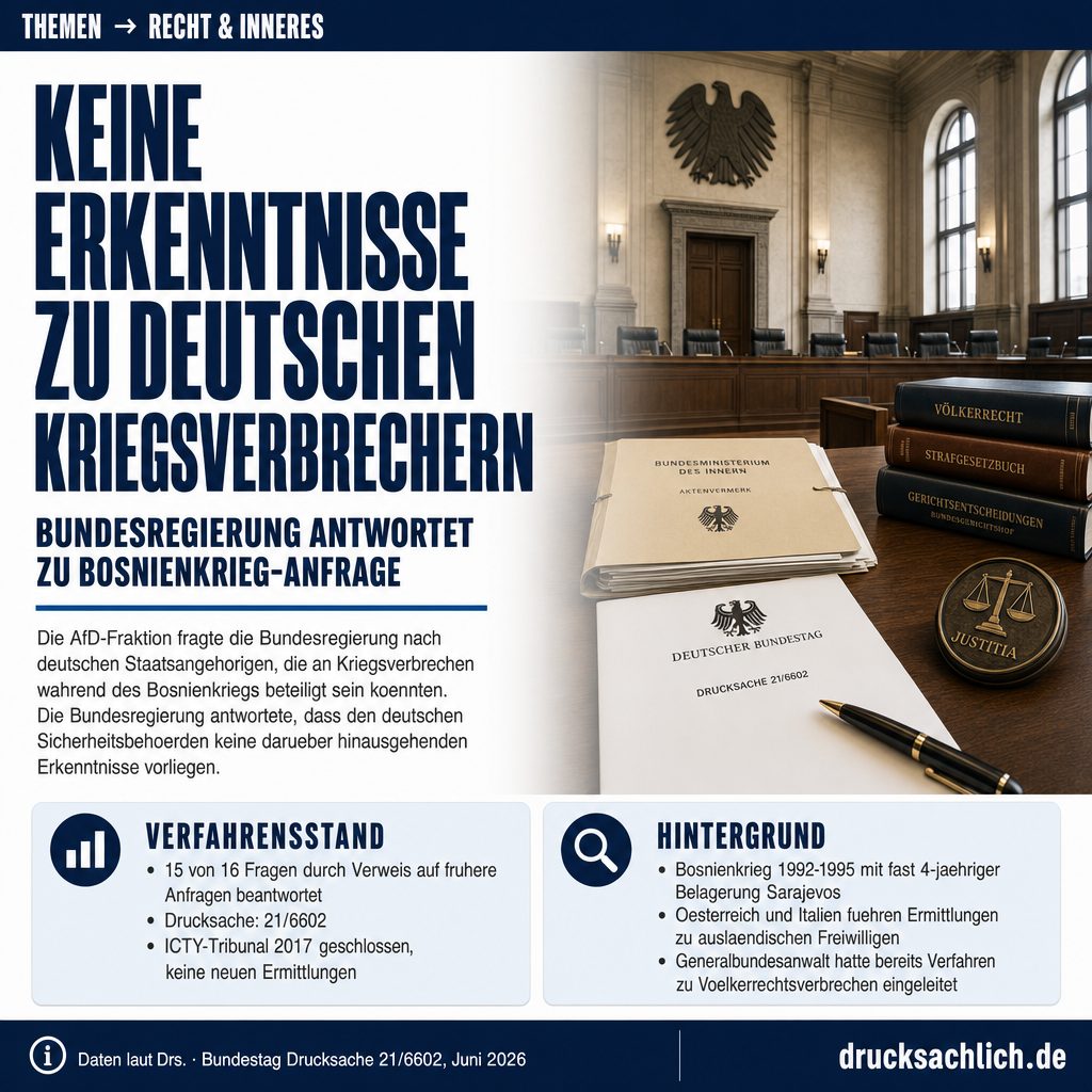 Infografik BT-Drs. 21/6602