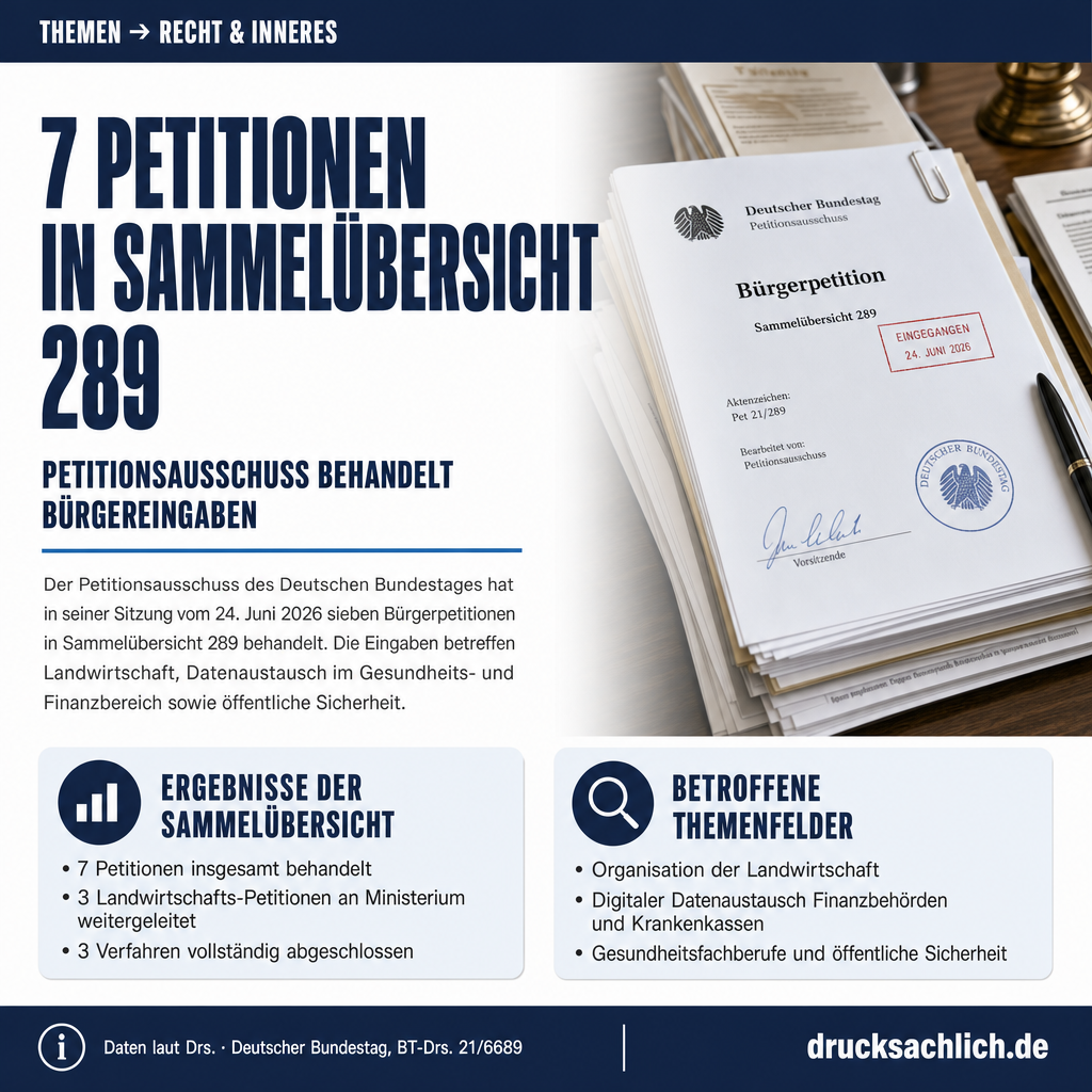 Infografik BT-Drs. 21/6689