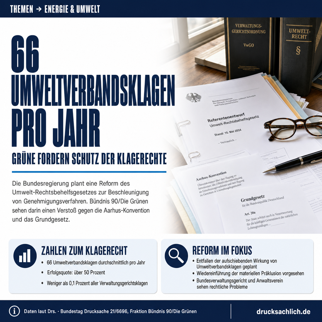 Infografik BT-Drs. 21/6696