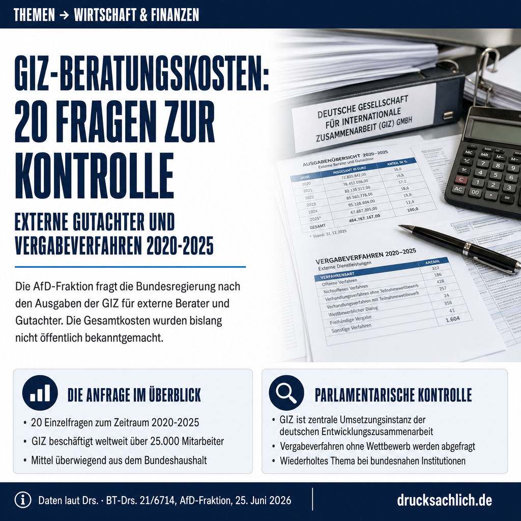 GIZ-Beratungskosten: 20 Fragen zu externen Gutachtern 2020–2025