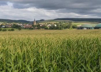 3,8 Milliarden für Biogas: Warum niemand die Kosten prüft