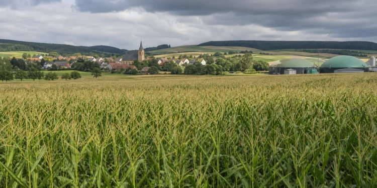 3,8 Milliarden für Biogas: Warum niemand die Kosten prüft
