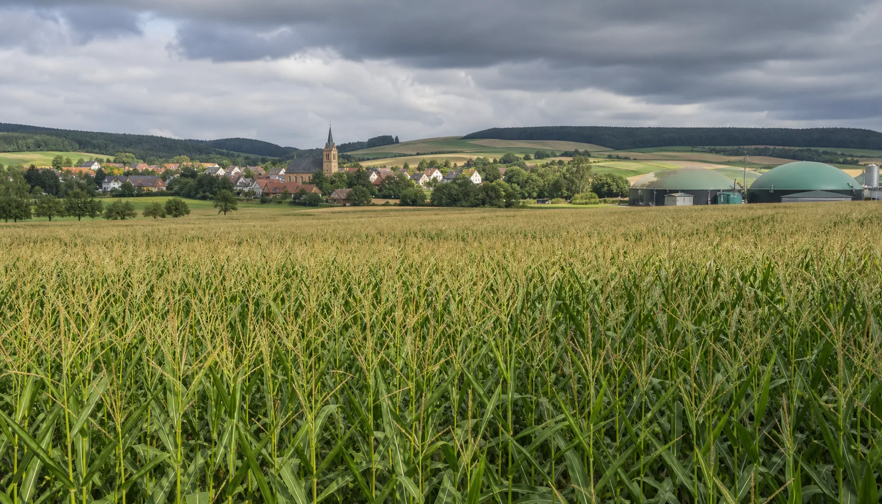 3,8 Milliarden für Biogas: Warum niemand die Kosten prüft