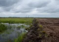 Moorschutz: Klimaziel 2030 durch nur 90.000 Hektar verfehlt