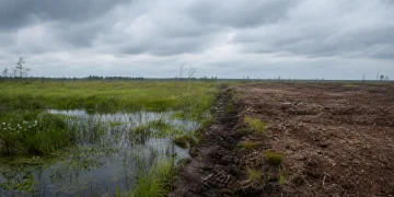 Moorschutz: Klimaziel 2030 durch nur 90.000 Hektar verfehlt