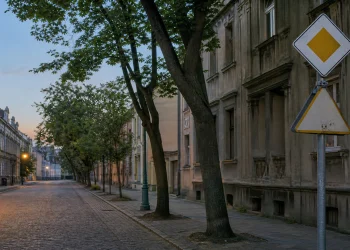 Straßenumbenennungen nach der Wiedervereinigung in Deutschland