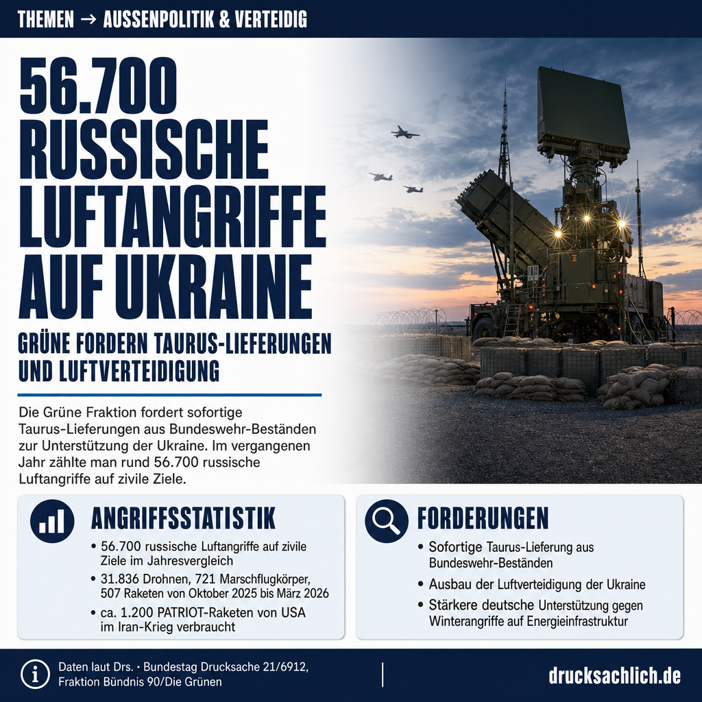 Infografik BT-Drs. 21/6912