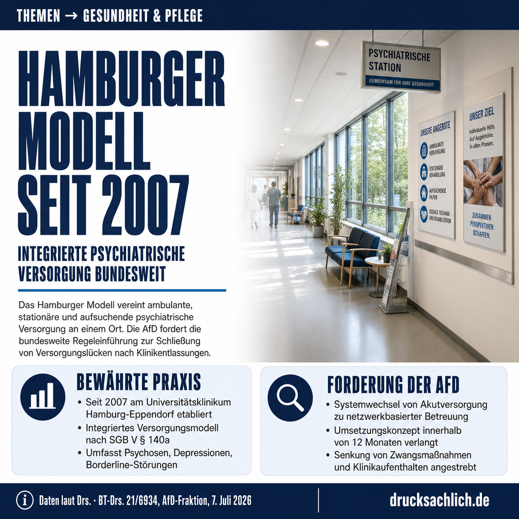 Infografik BT-Drs. 21/6934