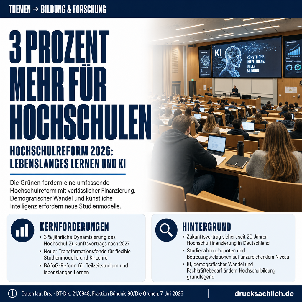 Infografik BT-Drs. 21/6948