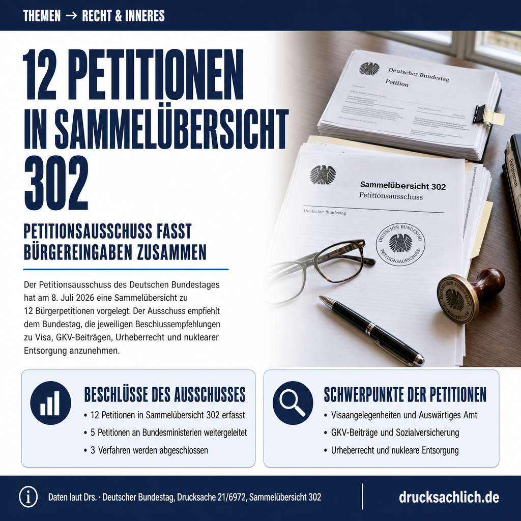 Infografik BT-Drs. 21/6972