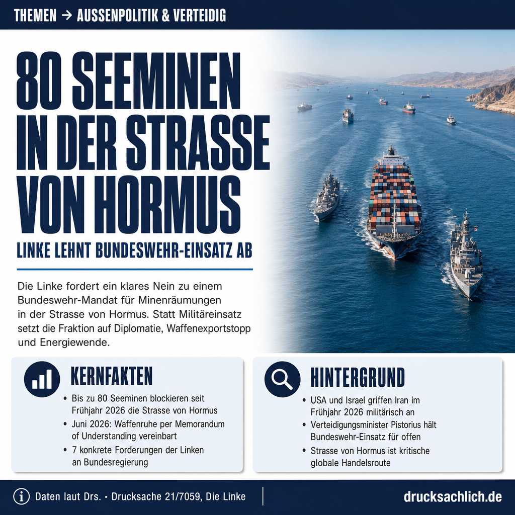 Bundeswehr in der Straße von Hormus: Linke lehnt Einsatz ab