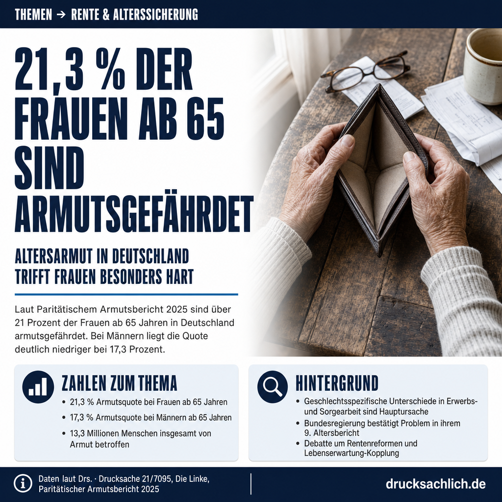Infografik BT-Drs. 21/7095
