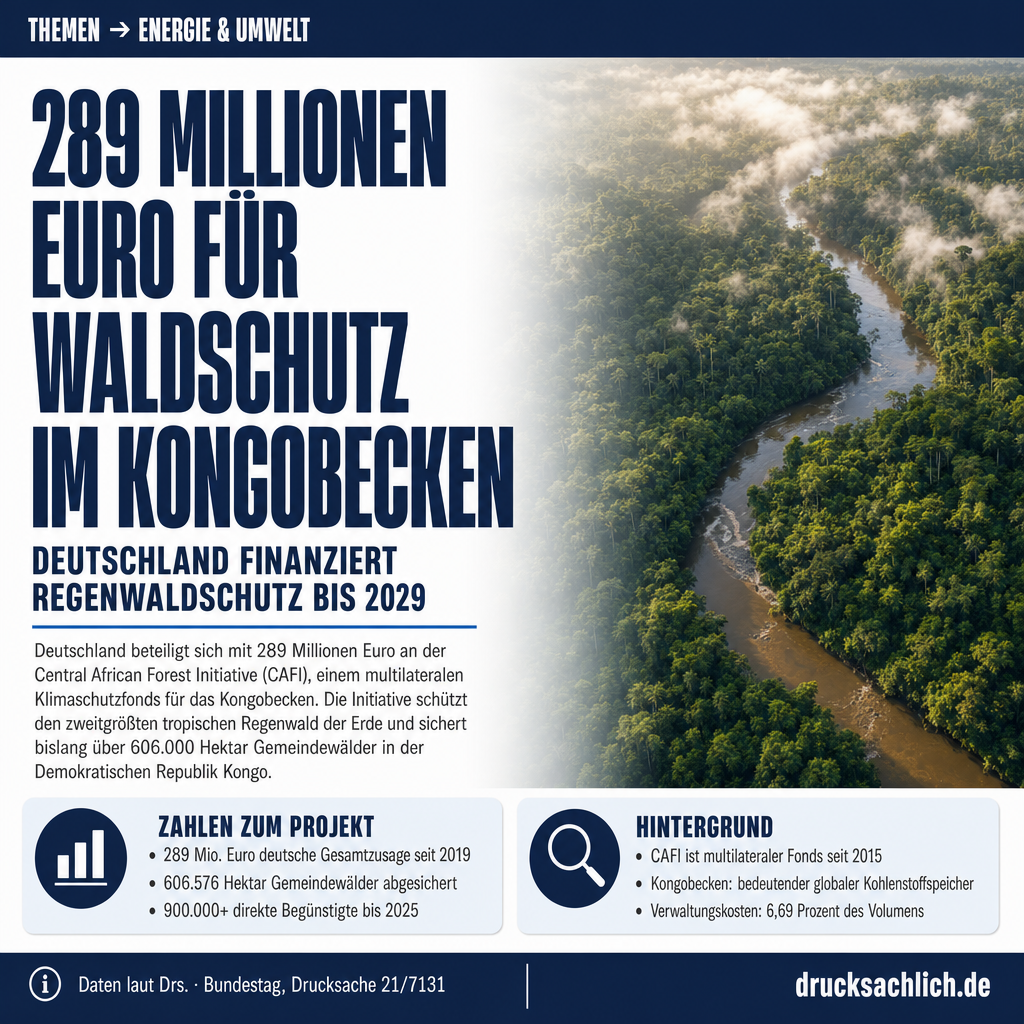CAFI-Waldschutz: 289 Mio. Euro für Kongobecken-Initiative