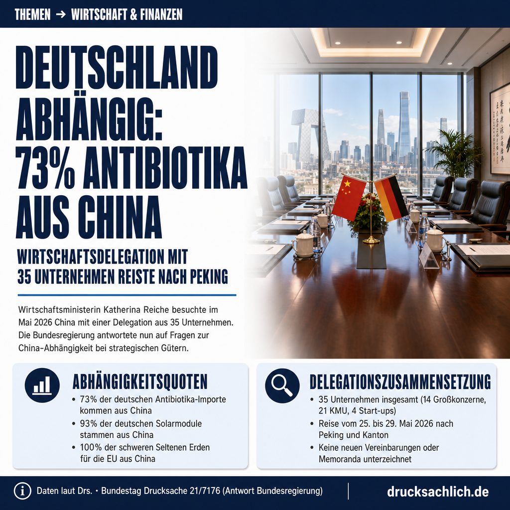 Infografik BT-Drs. 21/7176
