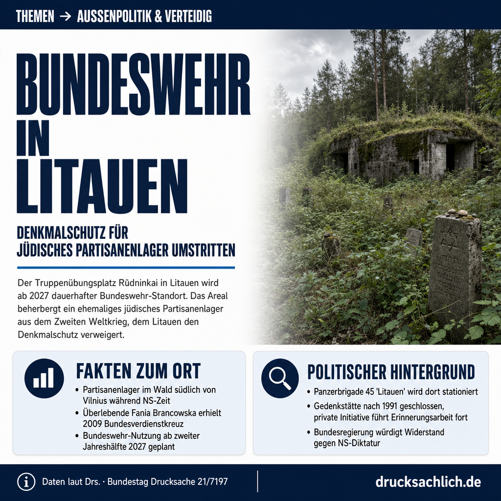 Infografik BT-Drs. 21/7197