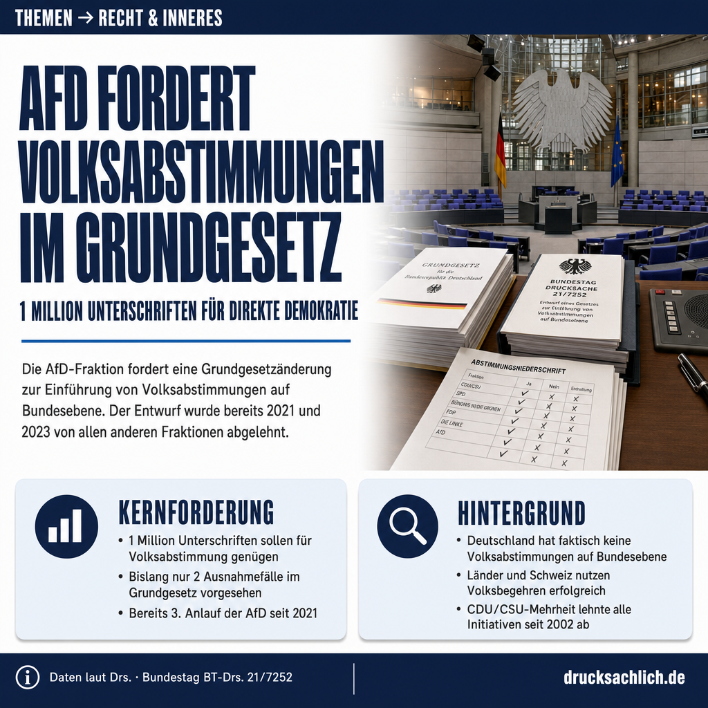 Infografik BT-Drs. 21/7252