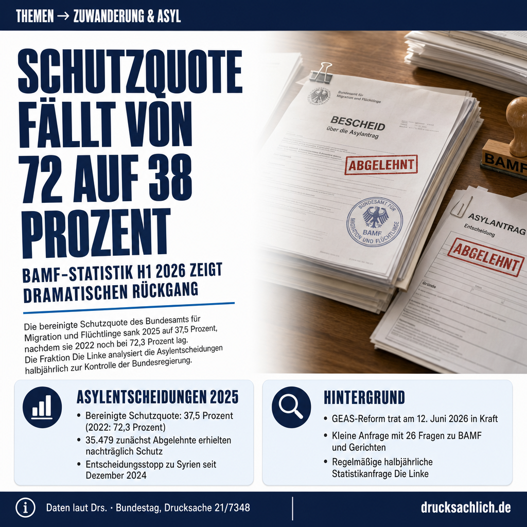 Infografik BT-Drs. 21/7348