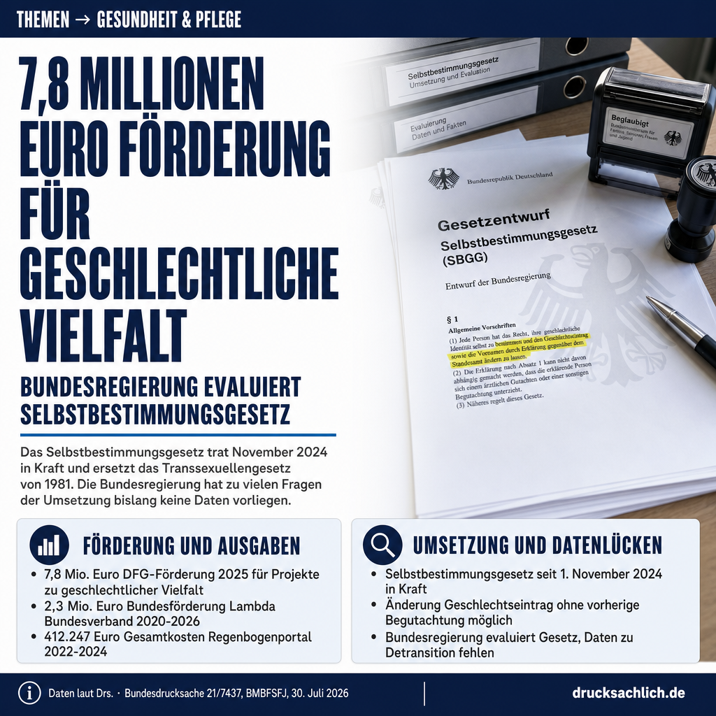 Infografik BT-Drs. 21/7437