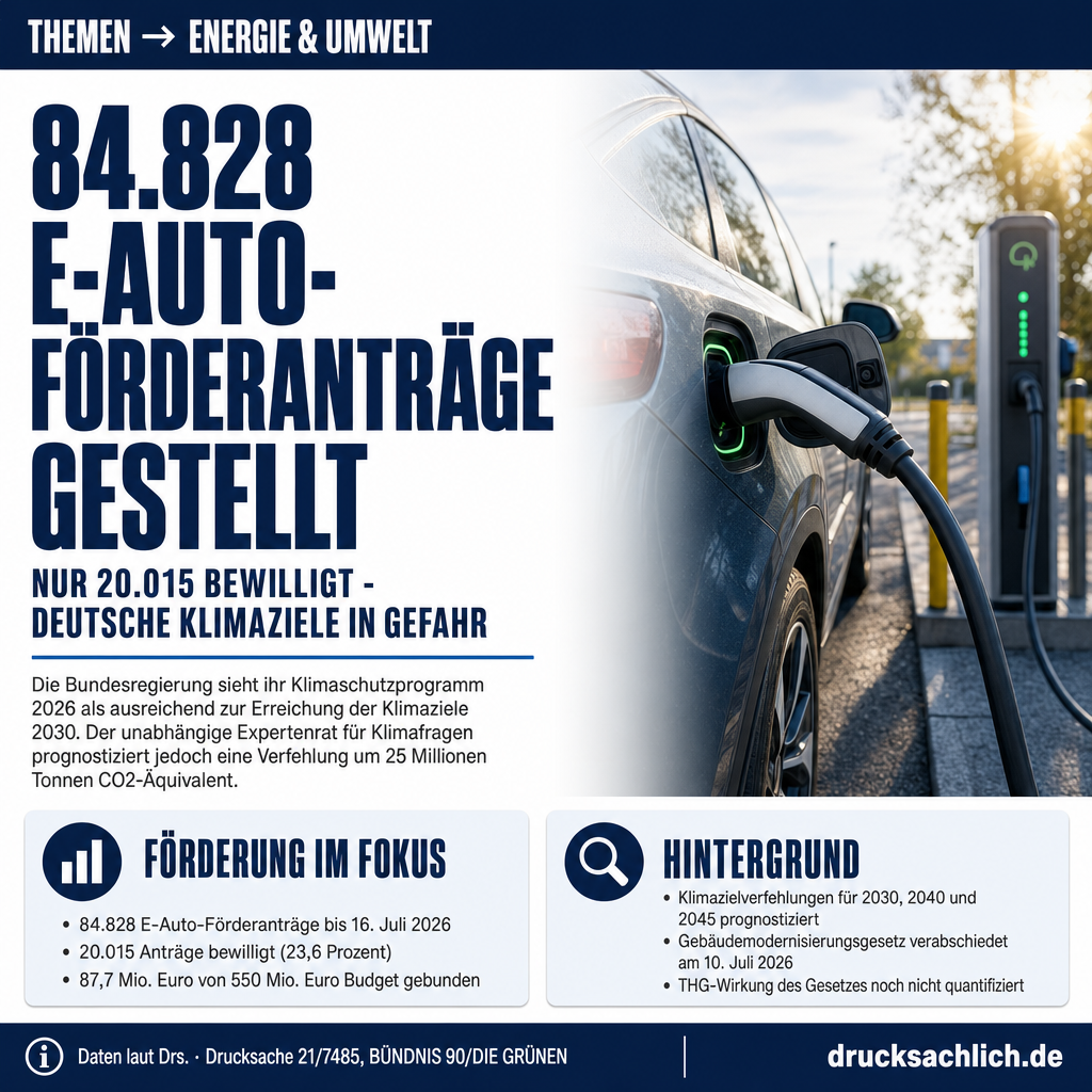 Infografik BT-Drs. 21/7485