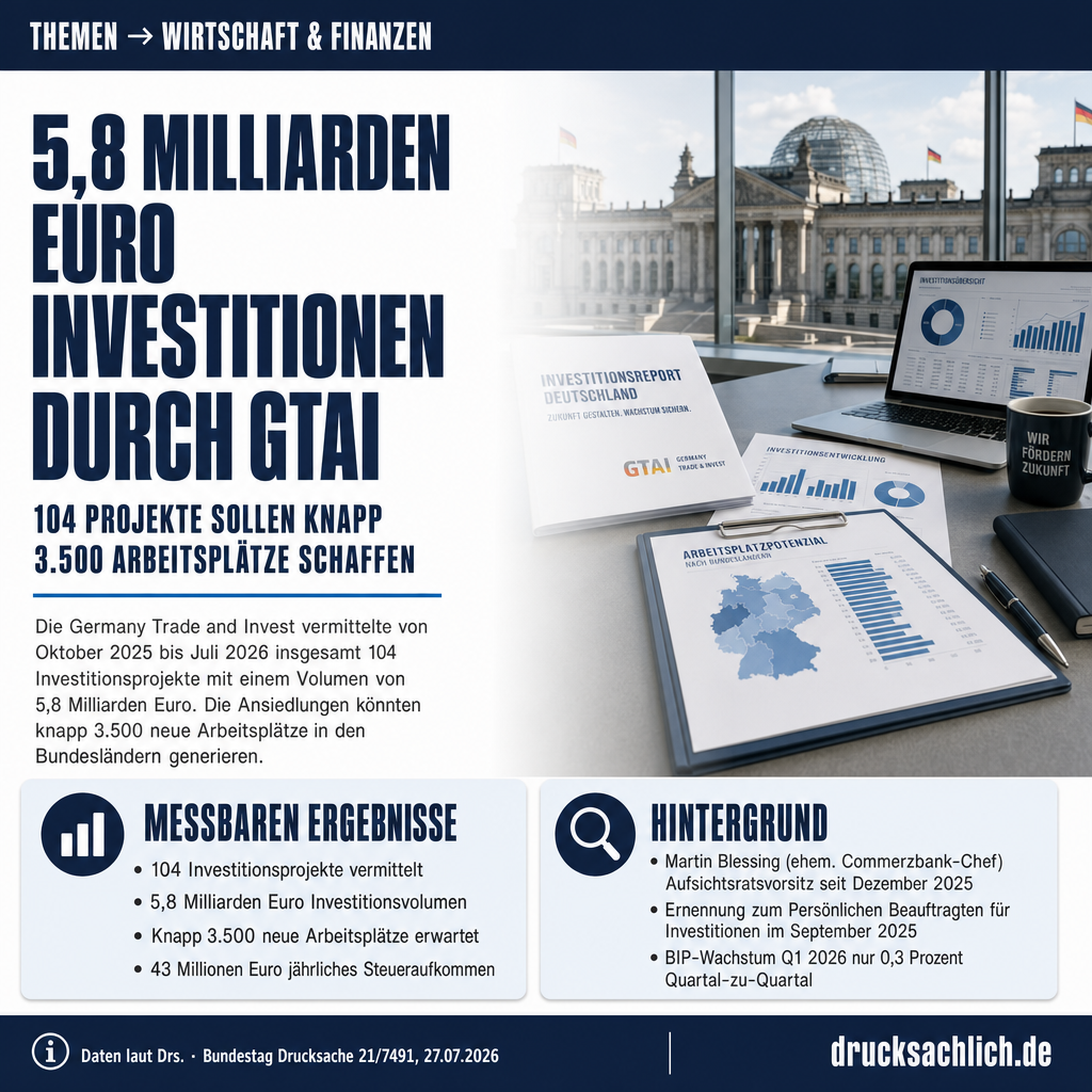 Infografik BT-Drs. 21/7491