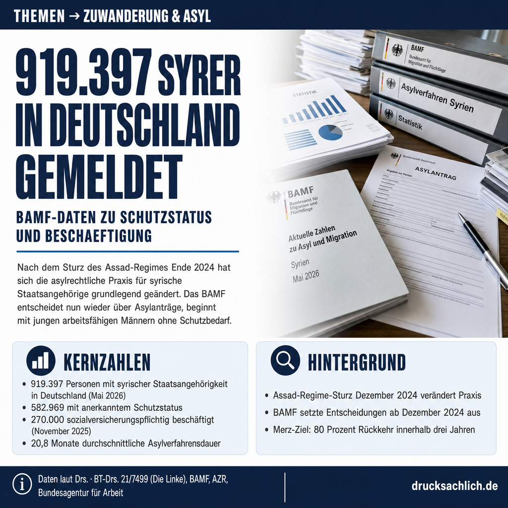 Infografik BT-Drs. 21/7499