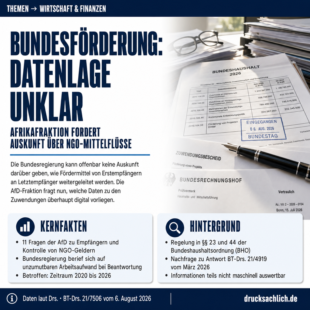 Infografik BT-Drs. 21/7506