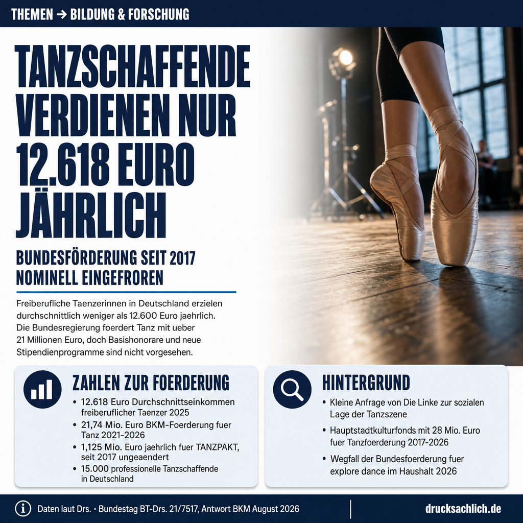 Tanzförderung: 36 Mio. Euro Bundesmittel, prekäre Einkommen