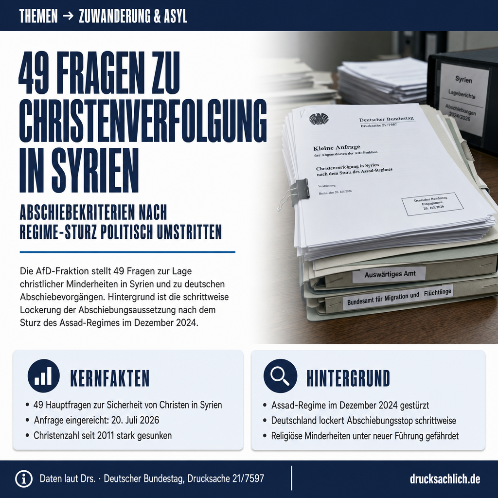 Infografik BT-Drs. 21/7597