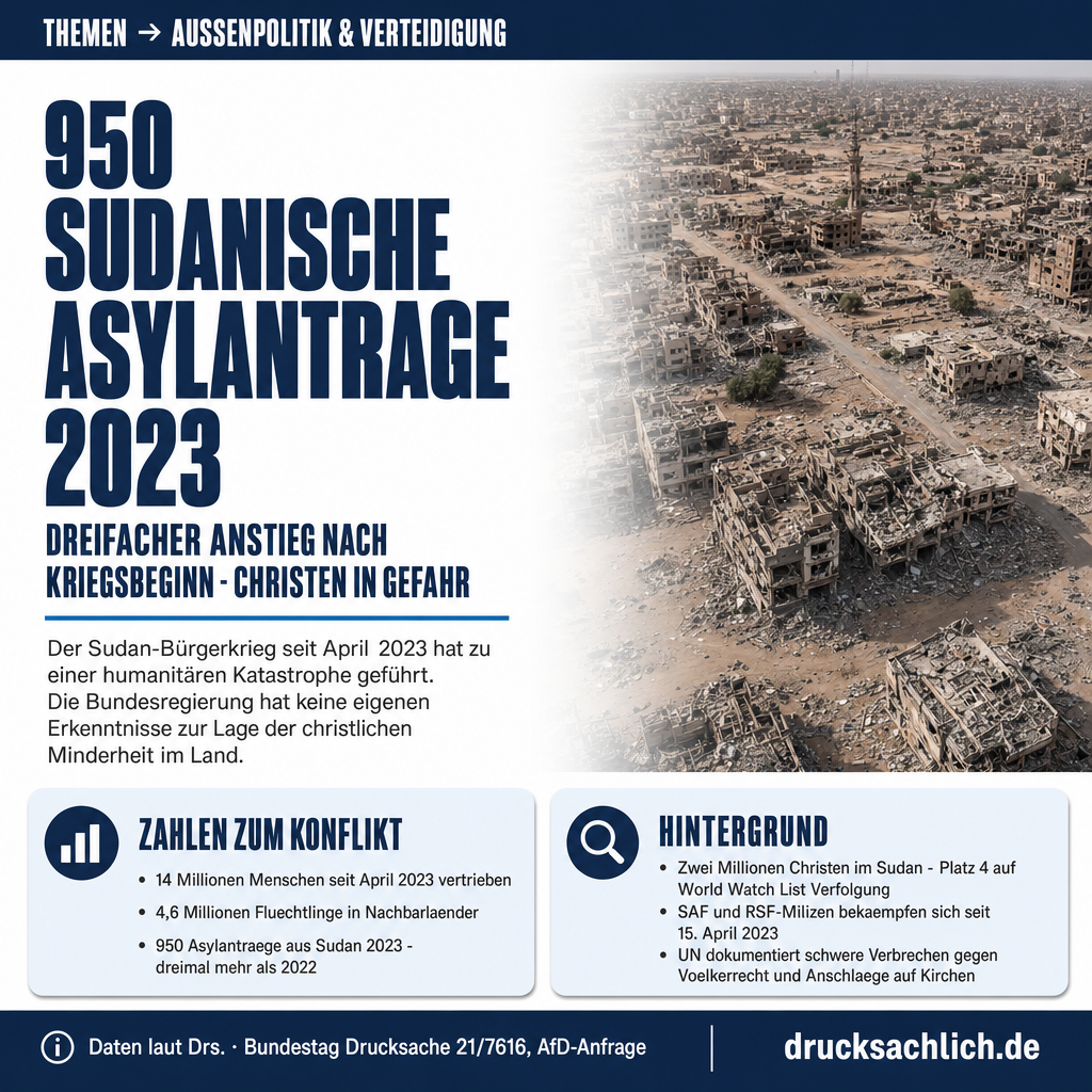 Infografik BT-Drs. 21/7616