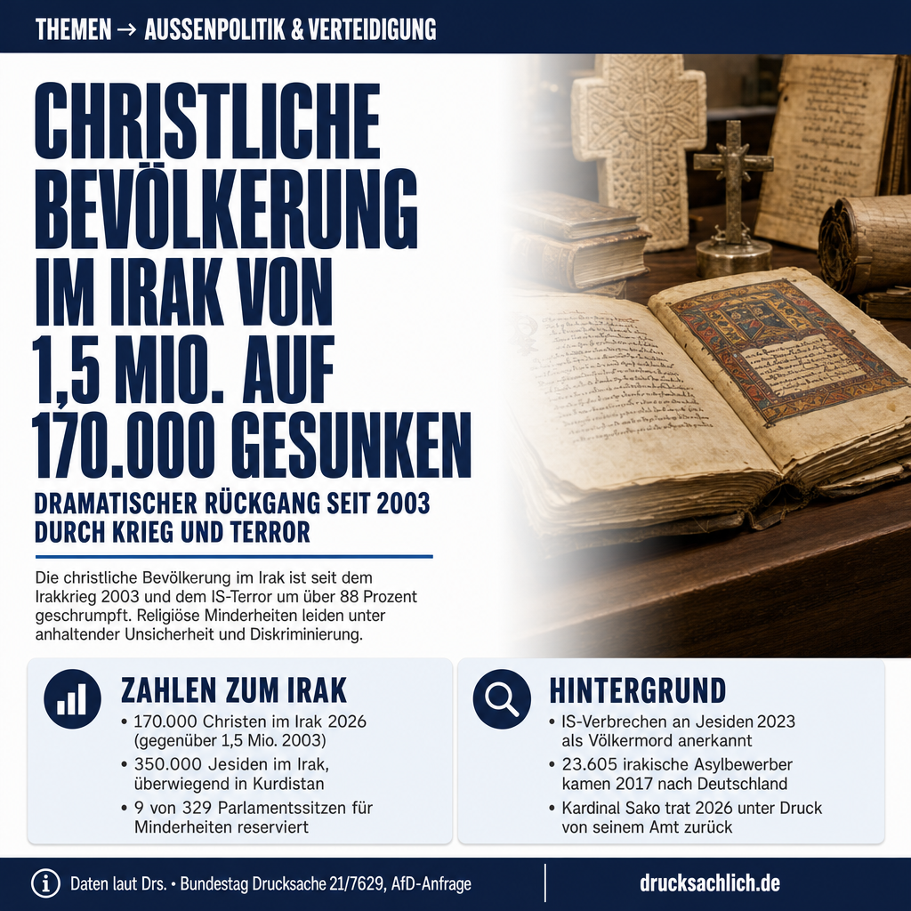 Infografik BT-Drs. 21/7629