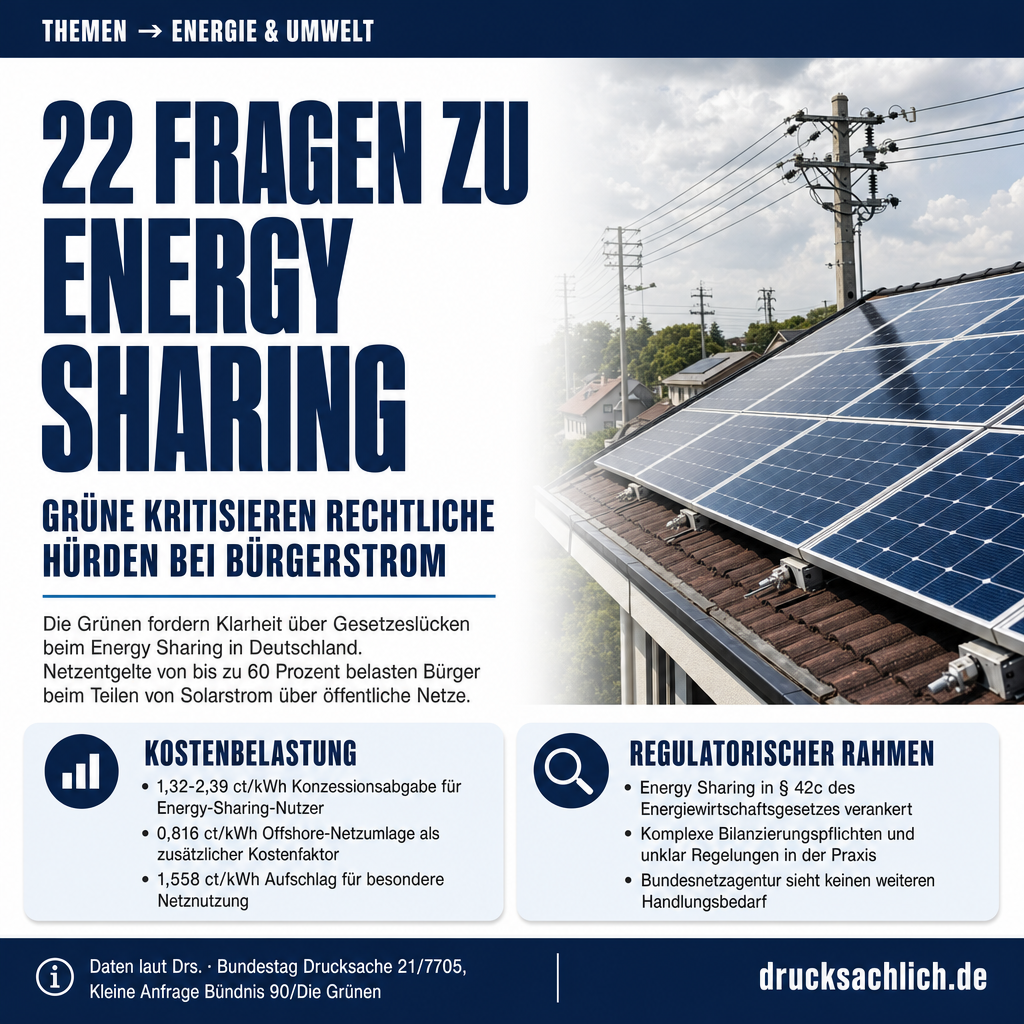 Infografik BT-Drs. 21/7705
