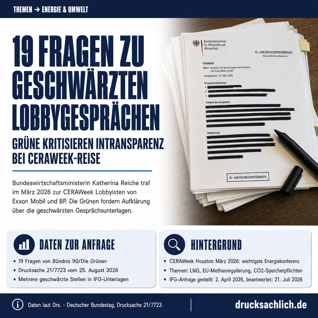 Infografik BT-Drs. 21/7723